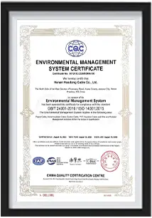 certificate-01